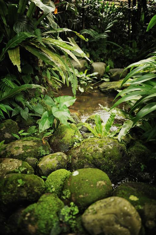 Heaven In Bali Apartment Penginyahan ภายนอก รูปภาพ
